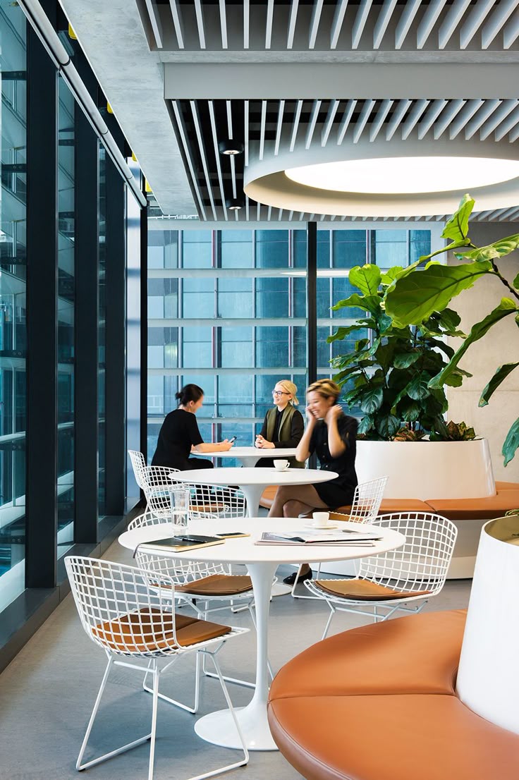 Porträt des Gründers in ruhiger Umgebung